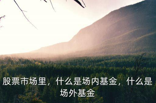 股票市場里，什么是場內(nèi)基金，什么是場外基金