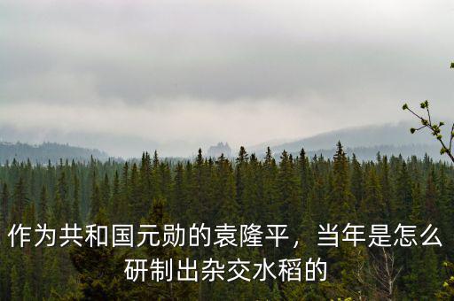 作為共和國元勛的袁隆平，當(dāng)年是怎么研制出雜交水稻的
