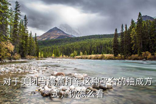 對于美團(tuán)與滴滴打車這種平臺的抽成方式，你怎么看