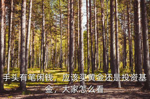 手頭有筆閑錢，應(yīng)該買黃金還是投資基金，大家怎么看