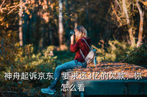 神舟起訴京東，要求還3億的欠款，你怎么看