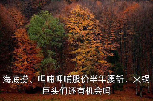 海底撈、呷哺呷哺股價半年腰斬，火鍋巨頭們還有機會嗎