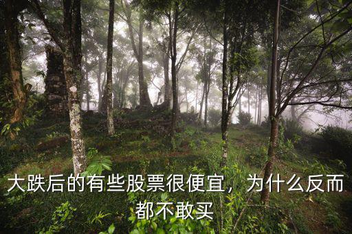 大跌后的有些股票很便宜，為什么反而都不敢買