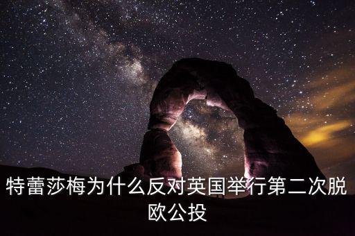 特蕾莎梅為什么反對(duì)英國舉行第二次脫歐公投