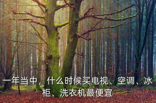 一年當(dāng)中，什么時候買電視、空調(diào)、冰柜、洗衣機最便宜