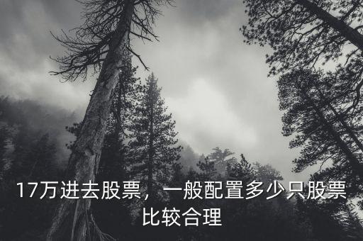 17萬進去股票，一般配置多少只股票比較合理