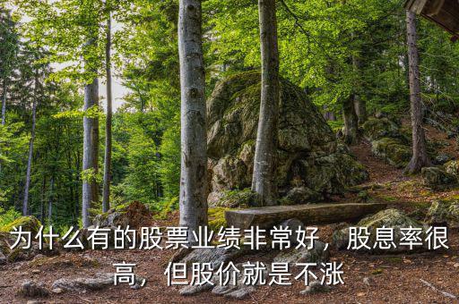 為什么有的股票業(yè)績(jī)非常好，股息率很高，但股價(jià)就是不漲