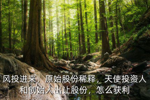 風投進來，原始股份稀釋，天使投資人和創(chuàng)始人出讓股份，怎么獲利
