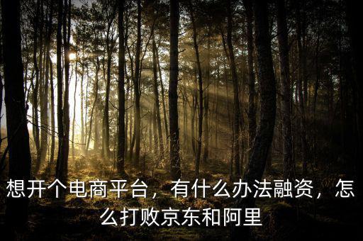 想開個電商平臺，有什么辦法融資，怎么打敗京東和阿里