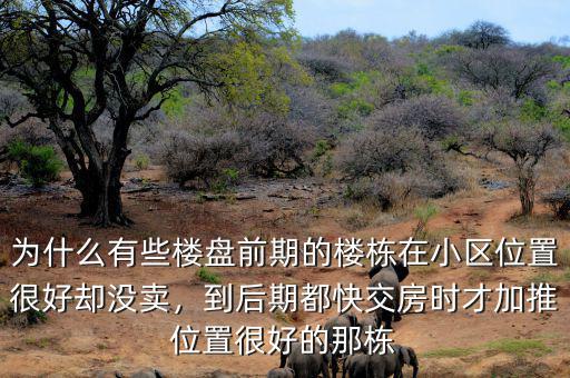 為什么有些樓盤前期的樓棟在小區(qū)位置很好卻沒賣，到后期都快交房時才加推位置很好的那棟