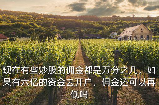 現(xiàn)在有些炒股的傭金都是萬分之幾，如果有六億的資金去開戶，傭金還可以再低嗎