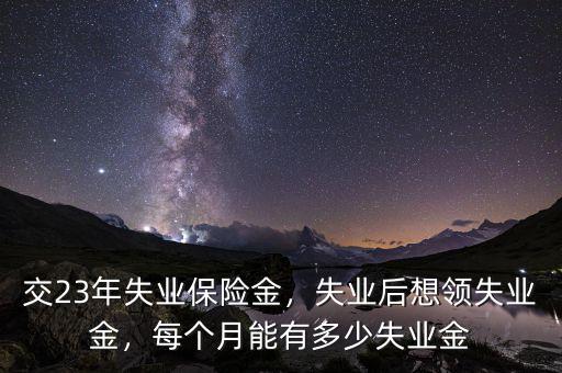交23年失業(yè)保險(xiǎn)金，失業(yè)后想領(lǐng)失業(yè)金，每個(gè)月能有多少失業(yè)金