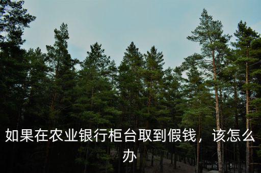 如果在農(nóng)業(yè)銀行柜臺取到假錢，該怎么辦