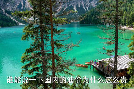 誰能說一下國內(nèi)的油價(jià)為什么這么貴