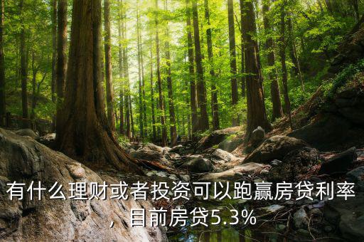 有什么理財或者投資可以跑贏房貸利率，目前房貸5.3%