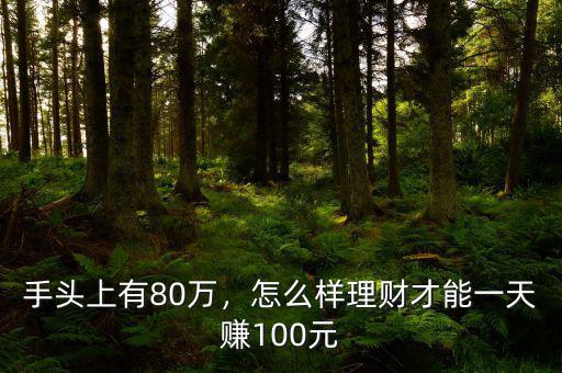 手頭上有80萬，怎么樣理財(cái)才能一天賺100元