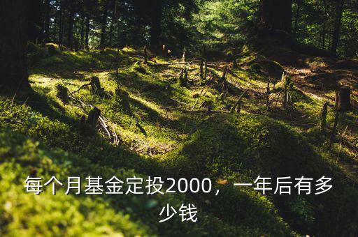 每個(gè)月基金定投2000，一年后有多少錢