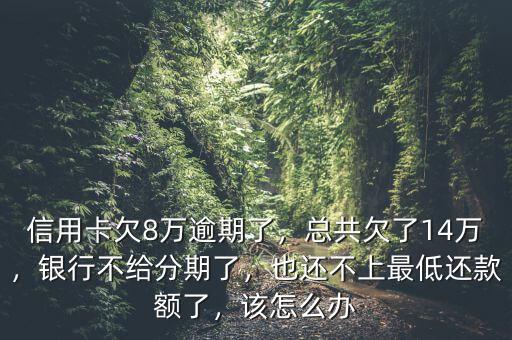 信用卡欠8萬(wàn)逾期了，總共欠了14萬(wàn)，銀行不給分期了，也還不上最低還款額了，該怎么辦