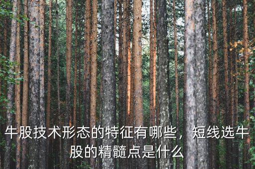 牛股技術(shù)形態(tài)的特征有哪些，短線選牛股的精髓點是什么