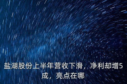 鹽湖股份上半年營收下滑，凈利卻增5成，亮點在哪