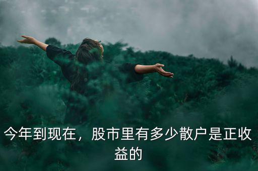 今年到現(xiàn)在，股市里有多少散戶(hù)是正收益的