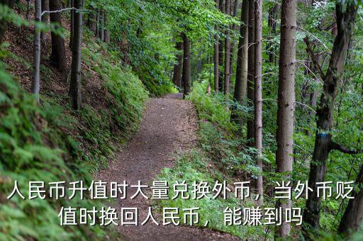 人民幣升值時大量兌換外幣，當外幣貶值時換回人民幣，能賺到嗎