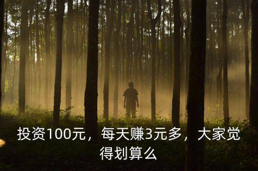 投資100元，每天賺3元多，大家覺得劃算么