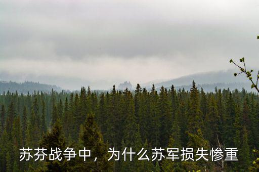 蘇芬戰(zhàn)爭中，為什么蘇軍損失慘重