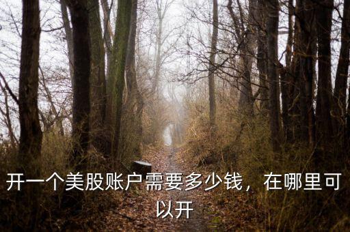 開一個美股賬戶需要多少錢，在哪里可以開