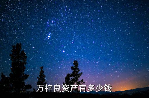 韓慶有多少資產(chǎn),萬(wàn)梓良資產(chǎn)有多少錢