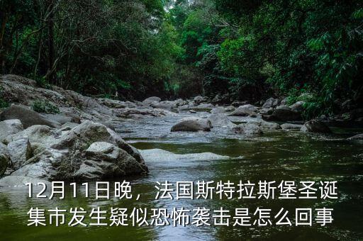 12月11日晚，法國斯特拉斯堡圣誕集市發(fā)生疑似恐怖襲擊是怎么回事