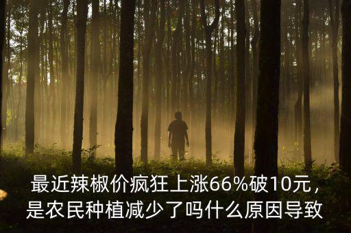 最近辣椒價瘋狂上漲66%破10元，是農(nóng)民種植減少了嗎什么原因?qū)е? class=