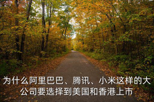 為什么阿里巴巴、騰訊、小米這樣的大公司要選擇到美國(guó)和香港上市