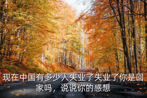 現在中國有多少人失業(yè)了失業(yè)了你是回家嗎，說說你的感想