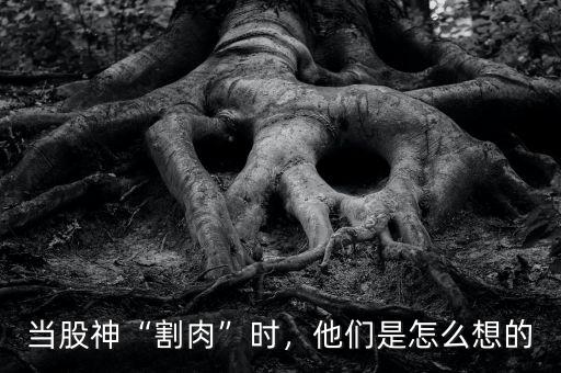 當(dāng)股神“割肉”時(shí)，他們是怎么想的