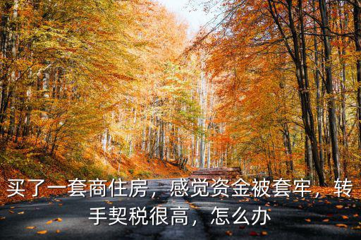 買了一套商住房，感覺(jué)資金被套牢，轉(zhuǎn)手契稅很高，怎么辦