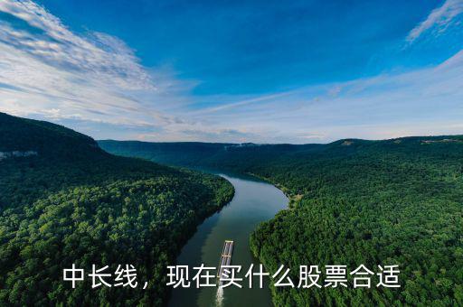 中長(zhǎng)線(xiàn)，現(xiàn)在買(mǎi)什么股票合適