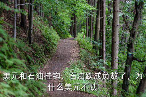 美元和石油掛鉤，石油跌成負數(shù)了，為什么美元不跌