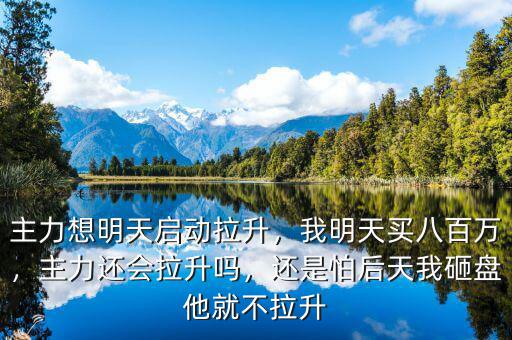 主力想明天啟動拉升，我明天買八百萬，主力還會拉升嗎，還是怕后天我砸盤他就不拉升
