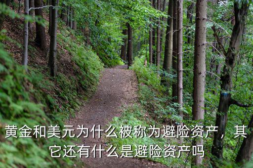 黃金和美元為什么被稱為避險資產(chǎn)，其它還有什么是避險資產(chǎn)嗎
