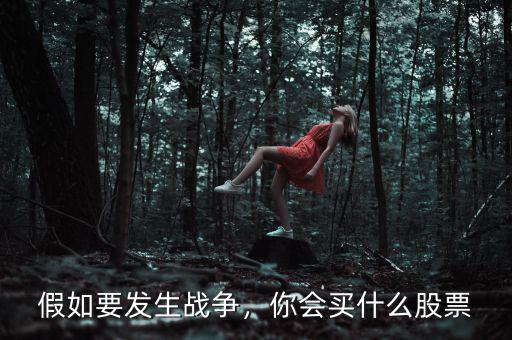 假如要發(fā)生戰(zhàn)爭(zhēng)，你會(huì)買(mǎi)什么股票