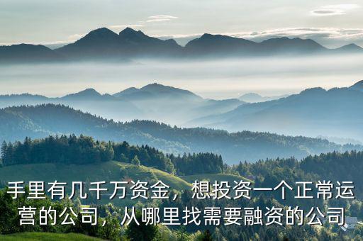 手里有幾千萬資金，想投資一個(gè)正常運(yùn)營(yíng)的公司，從哪里找需要融資的公司