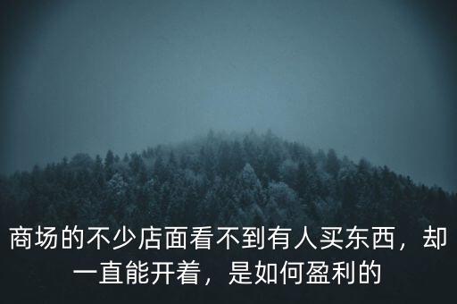 商場的不少店面看不到有人買東西，卻一直能開著，是如何盈利的