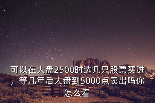 可以在大盤2500時選幾只股票買進(jìn)，等幾年后大盤到5000點(diǎn)賣出嗎你怎么看