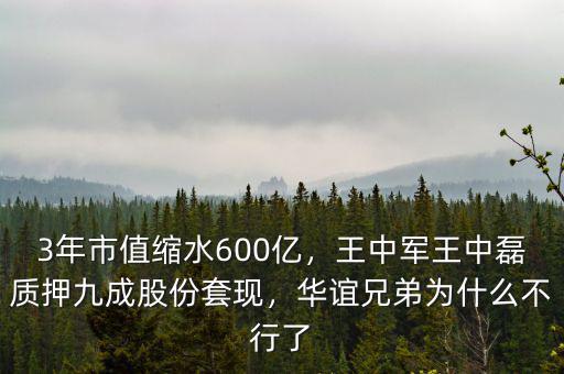 3年市值縮水600億，王中軍王中磊質(zhì)押九成股份套現(xiàn)，華誼兄弟為什么不行了