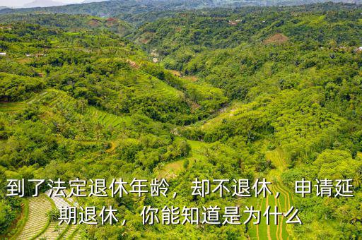 到了法定退休年齡，卻不退休，申請(qǐng)延期退休，你能知道是為什么