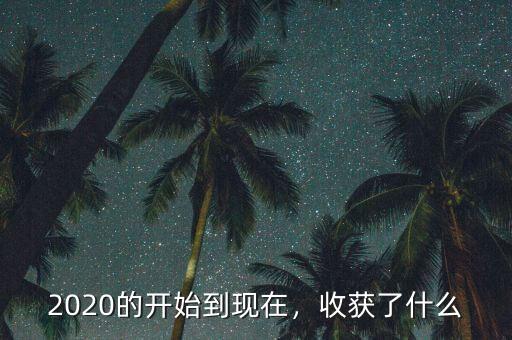 2020的開始到現(xiàn)在，收獲了什么