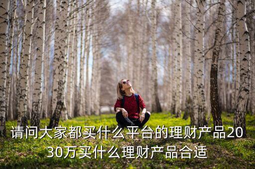 請問大家都買什么平臺的理財產品2030萬買什么理財產品合適