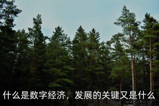 什么是數(shù)字經(jīng)濟，發(fā)展的關鍵又是什么
