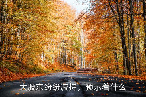 大股東紛紛減持，預(yù)示著什么